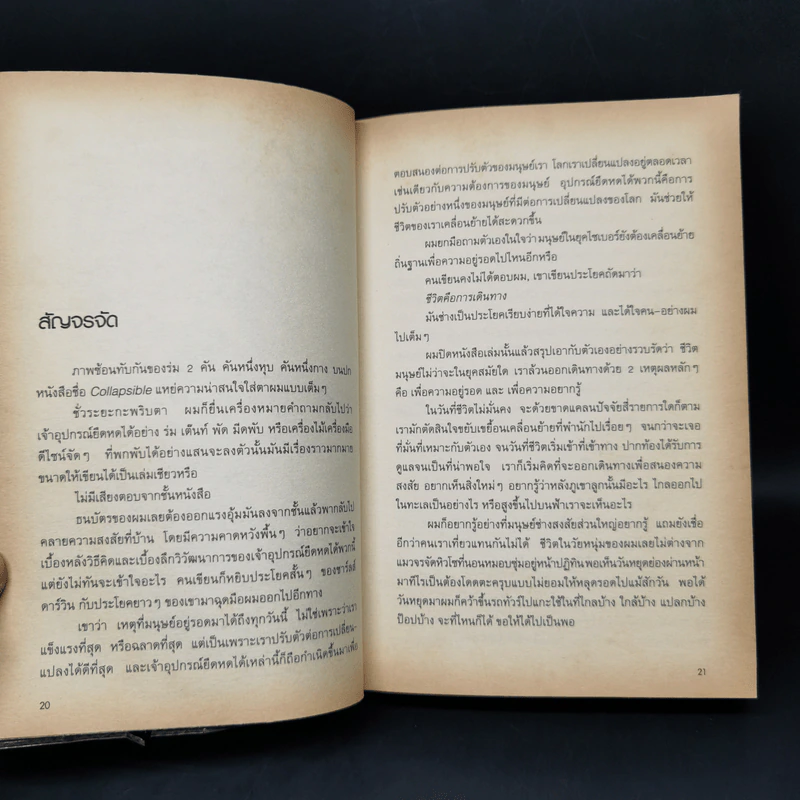 สองเงาในเกาหลี - ทรงกลด บางยี่ขัน รูปที่ 11