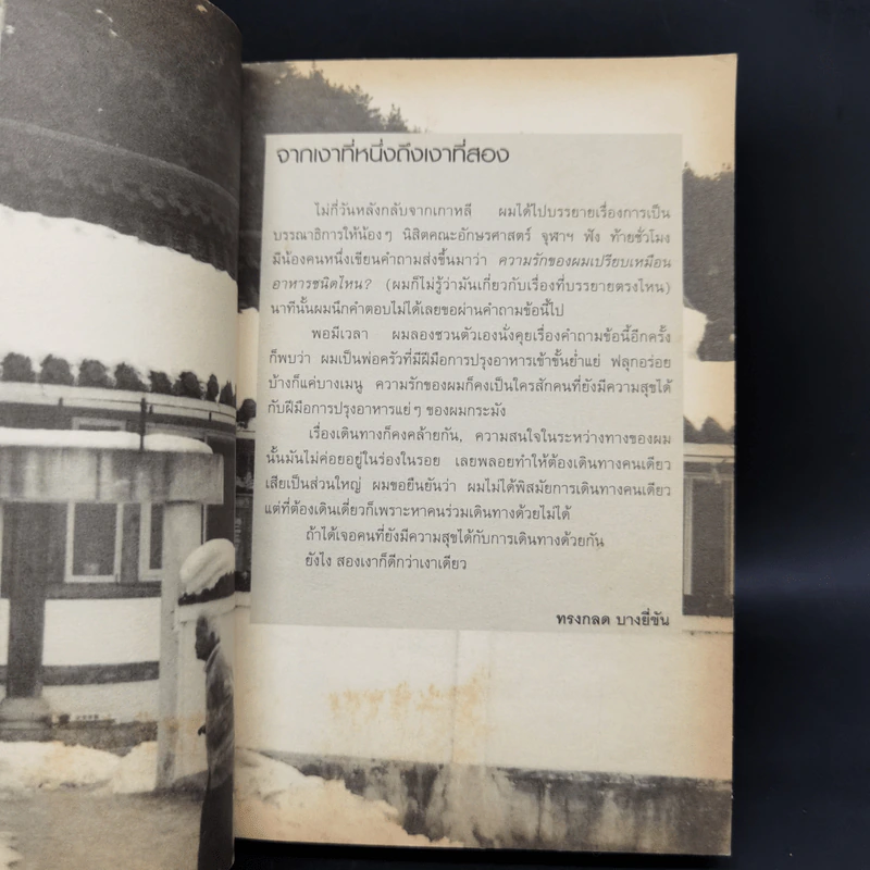 สองเงาในเกาหลี - ทรงกลด บางยี่ขัน รูปที่ 9