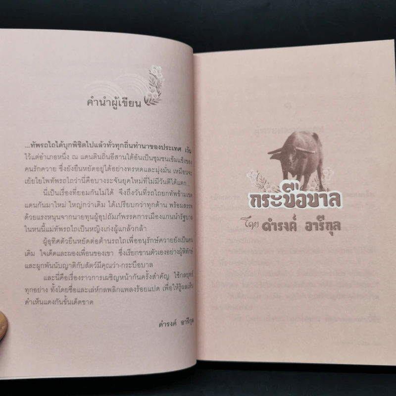 กระบือบาล - ดำรงค์ อารีกุล รูปที่ 9