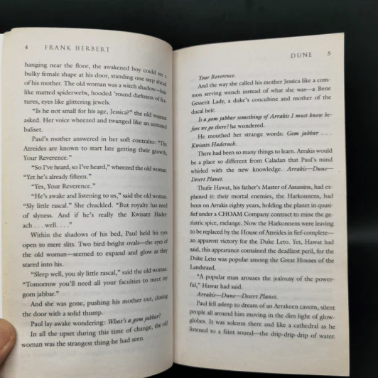 Dune - Frank Herbert รูปที่ 10