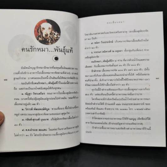 คนเลี้ยงหมา - ชาติ ภิรมย์กุล รูปที่ 11