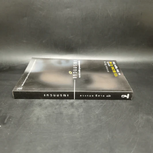 แหวนมรณะ You Belong to Me - Mary Higgins Clark, ดวงกมล พิศาล รูปที่ 3