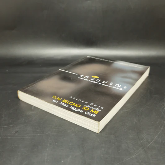 แหวนมรณะ You Belong to Me - Mary Higgins Clark, ดวงกมล พิศาล รูปที่ 7