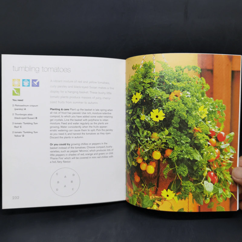 200 Great Containers -Joanna Smith รูปที่ 13