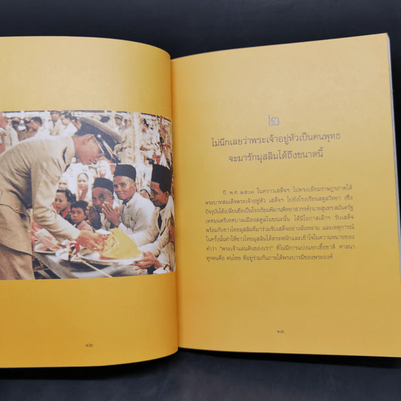 ในหลวงของฉัน หนังสือประมวลภาพแห่งความทรงจำของผสกนิกรชาวไทย รูปที่ 10