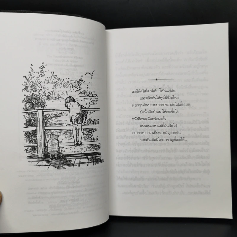 บ้านมุมพูห์ The House at Pooh Corner - เอ.เอ.มิลน์ รูปที่ 9