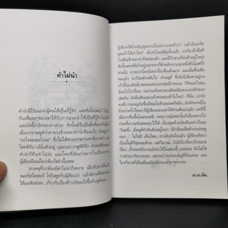 บ้านมุมพูห์ The House at Pooh Corner - เอ.เอ.มิลน์ รูปที่ 10