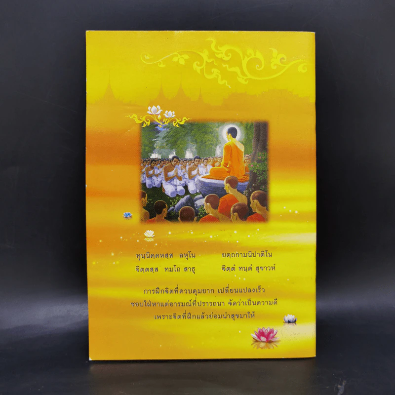 สนิมในใจ - พระมหาสุรศักดิ์ ธนปาโล รูปที่ 2