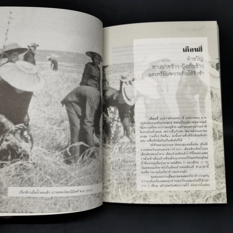 ประเพณี 12 เดือน ในประวัติศาสตร์สังคมวัฒนธรรมเพื่อความอยู่รอดของคน - สุจิตต์ วงษ์เทศ รูปที่ 12