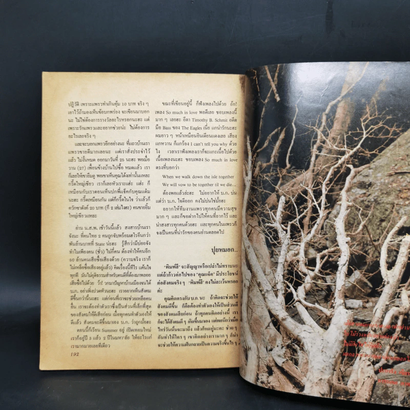 แพรว สุดสัปดาห์ ฉบับที่ 8 เกศรี ต่อศิริ (เก๋) + สมภพ วิเศษศิริ (เป๊ก) รูปที่ 11