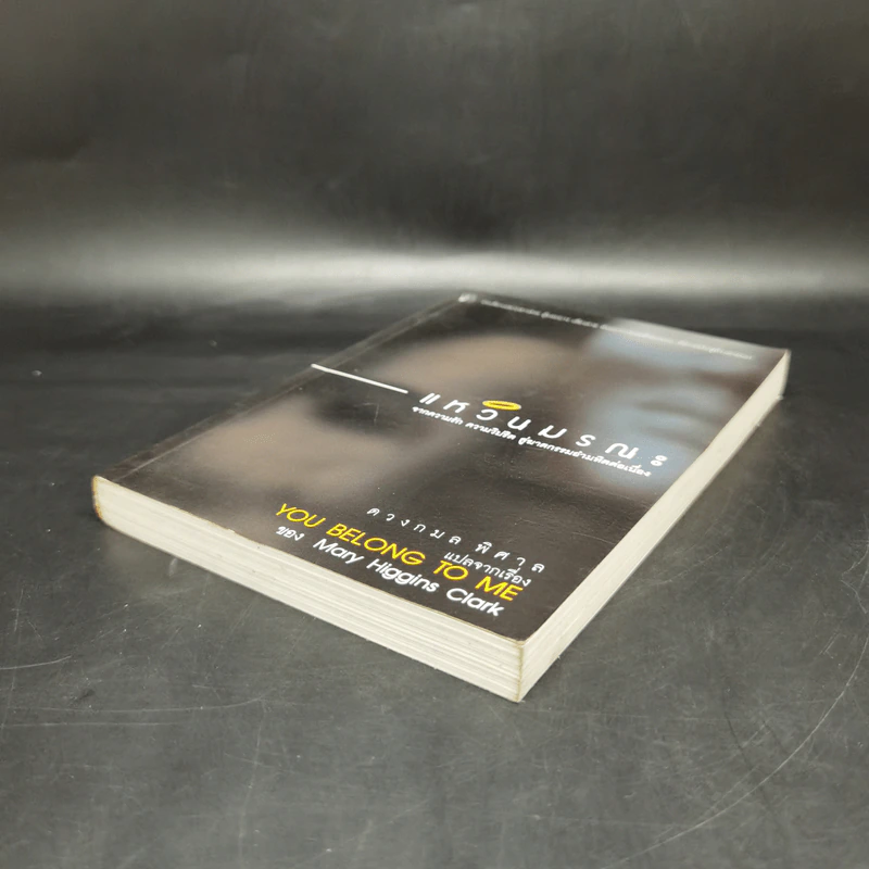 แหวนมรณะ You Belong to Me - Mary Higgins Clark, ดวงกมล พิศาล รูปที่ 7