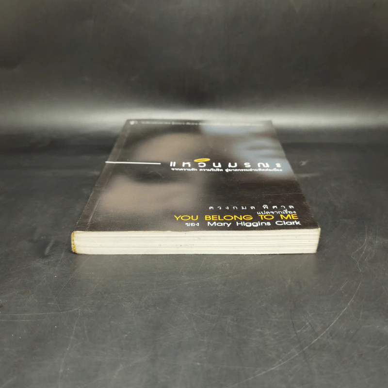 แหวนมรณะ You Belong to Me - Mary Higgins Clark, ดวงกมล พิศาล รูปที่ 4