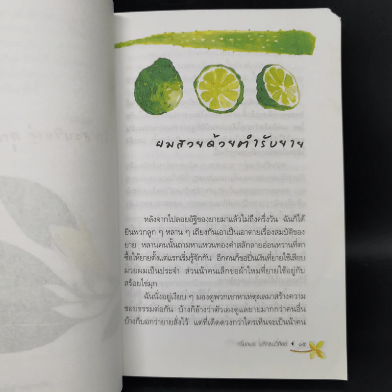 บ้านเล็ก สวนใหญ่ คุณยายที่รัก - กริ่มกมล มหัทธนวิศัลย์ รูปที่ 10