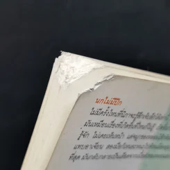 นกไม่มีปีก - วดีลดา เพียงศิริ รูปที่ 3