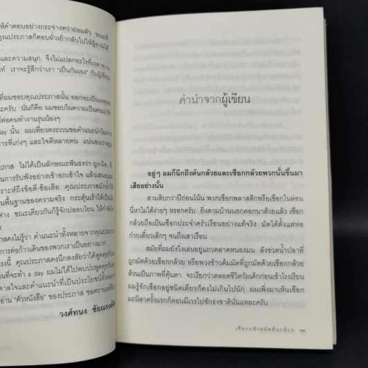 เชือกกล้วยมัดต้นกล้วย - ประภาส ชลศรานนท์ รูปที่ 10