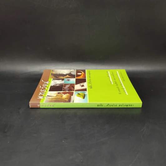 พุทธวัจน์ ฉบับก้าวย่าง อย่างพุทธะ รูปที่ 3