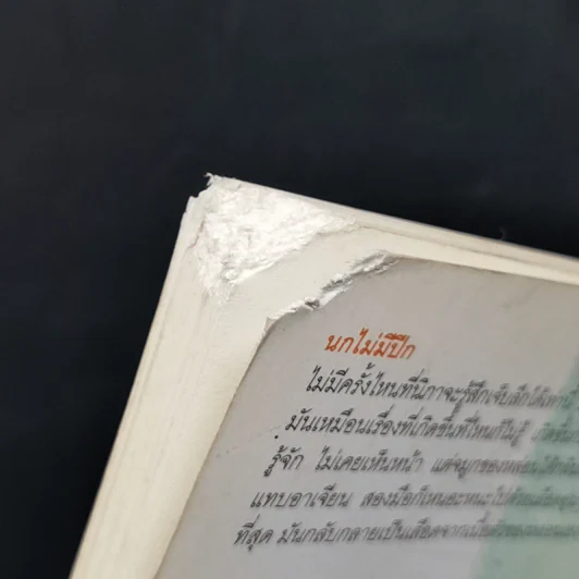 นกไม่มีปีก - วดีลดา เพียงศิริ รูปที่ 3