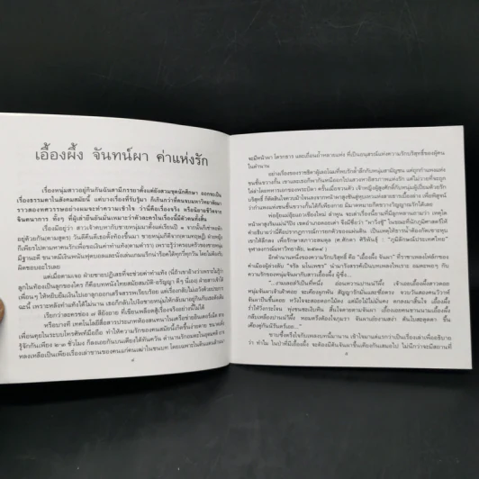 ดอกไม้ในใจเรา - ธีรภาพ โลหิตกุล รูปที่ 9