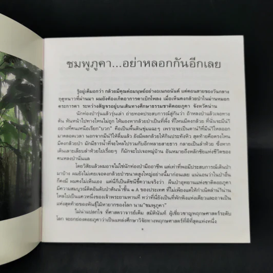ดอกไม้ในใจเรา - ธีรภาพ โลหิตกุล รูปที่ 8