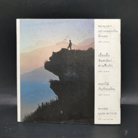 ดอกไม้ในใจเรา - ธีรภาพ โลหิตกุล รูปที่ 2