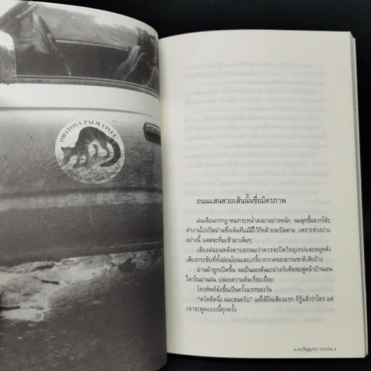เดินบนถนนมิตรภาพ - ม.ล.ปริญญากร วรวรรณ รูปที่ 9