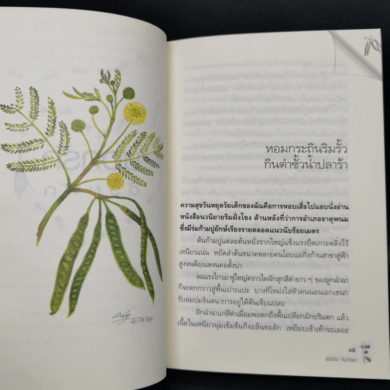 บอกรักด้วยผัก - สุมิตรา จันทร์เงา รูปที่ 11