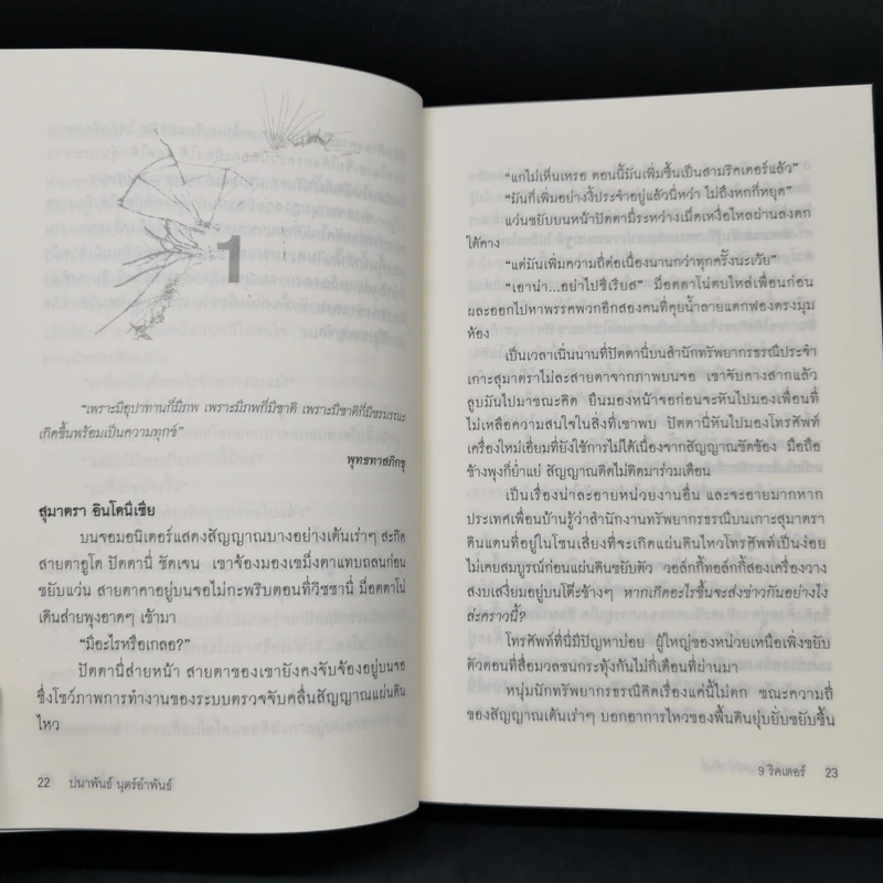 9 ริคเตอร์ - ปนาพันธ์ นุตร์อำ รูปที่ 11