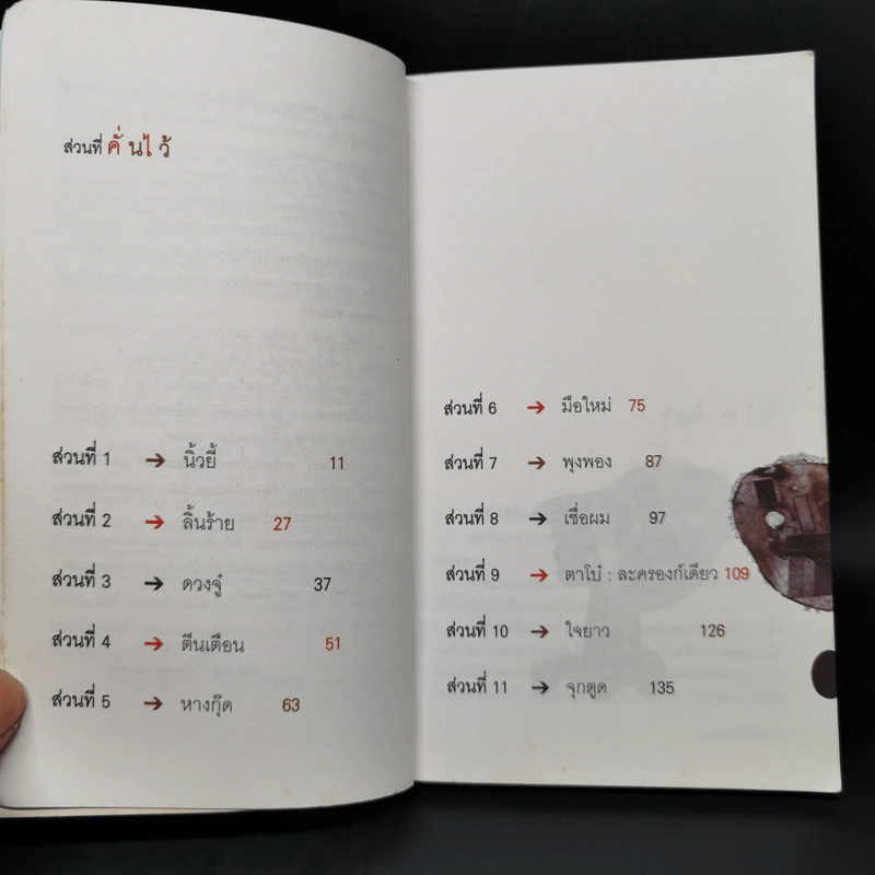 ส่วนที่เคลื่อนไหว - ปราบดา หยุ่น รูปที่ 9