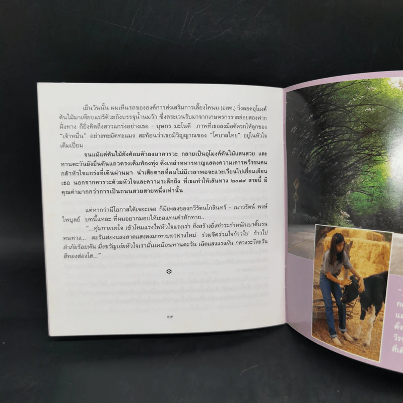 ดอกไม้ในใจเรา - ธีรภาพ โลหิตกุล รูปที่ 11