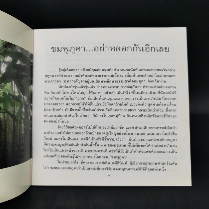 ดอกไม้ในใจเรา - ธีรภาพ โลหิตกุล รูปที่ 8