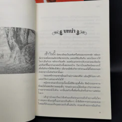 นิยายชุด ต้นรักเสน่หา 3 เล่ม เก็บรักไว้ที่ปลายฟ้า, โอบพสุธาด้วยรัก, ปลูกรักใต้เงาใจ รูปที่ 17