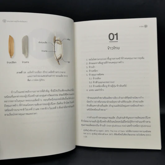 ประมวลความรู้เบื้องต้นเรื่องข้าว - เบญจวรรณ ฤกษ์เกษม รูปที่ 12