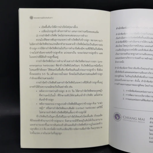 ประมวลความรู้เบื้องต้นเรื่องข้าว - เบญจวรรณ ฤกษ์เกษม รูปที่ 13