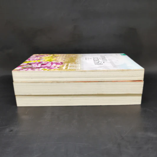 นิยายชุด ต้นรักเสน่หา 3 เล่ม เก็บรักไว้ที่ปลายฟ้า, โอบพสุธาด้วยรัก, ปลูกรักใต้เงาใจ รูปที่ 4