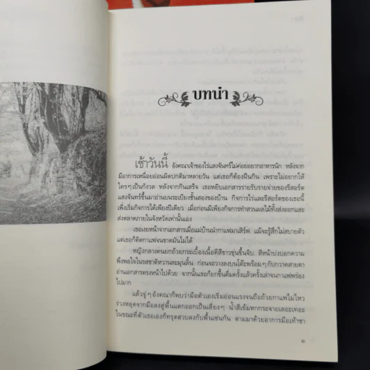 นิยายชุด ต้นรักเสน่หา 3 เล่ม เก็บรักไว้ที่ปลายฟ้า, โอบพสุธาด้วยรัก, ปลูกรักใต้เงาใจ รูปที่ 17
