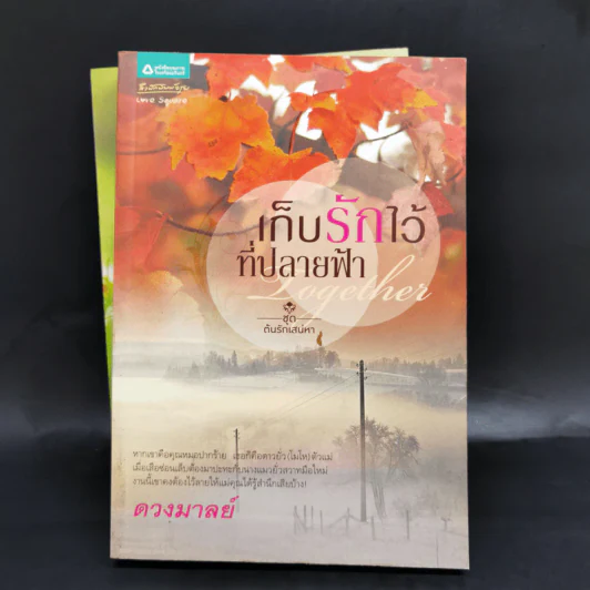 นิยายชุด ต้นรักเสน่หา 3 เล่ม เก็บรักไว้ที่ปลายฟ้า, โอบพสุธาด้วยรัก, ปลูกรักใต้เงาใจ รูปที่ 11