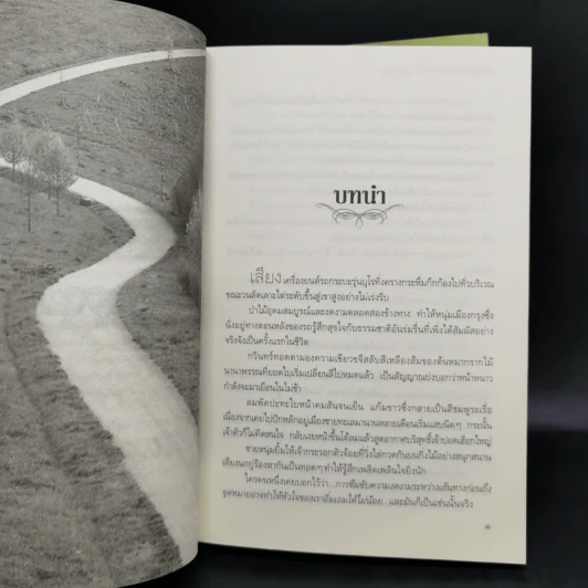 นิยายชุด ต้นรักเสน่หา 3 เล่ม เก็บรักไว้ที่ปลายฟ้า, โอบพสุธาด้วยรัก, ปลูกรักใต้เงาใจ รูปที่ 13
