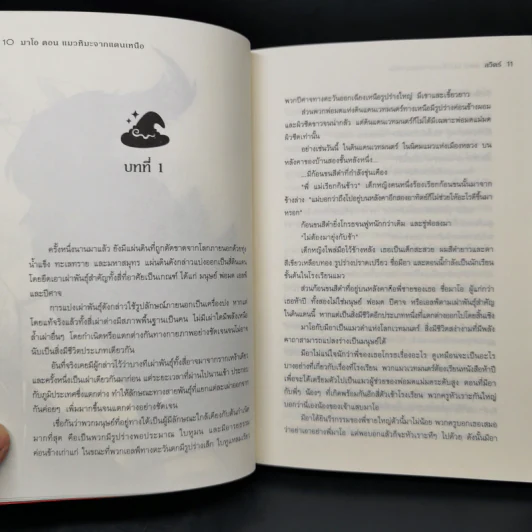 มาโอ ตอน แมวหิมะจากแดนเหนือ - ลวิตร์ รูปที่ 9