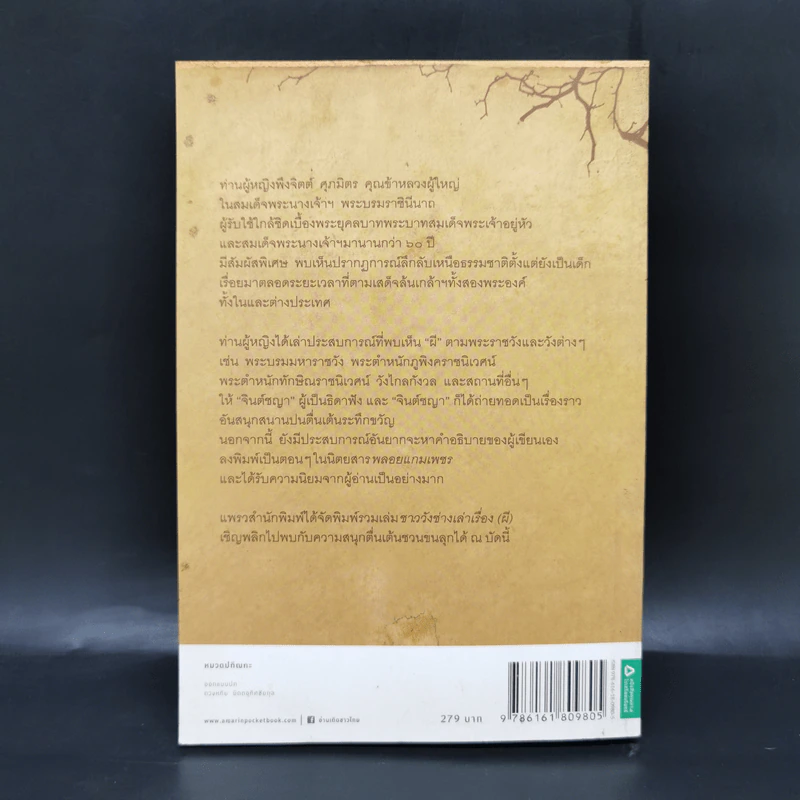 ชาววัง ช่างเล่าเรื่อง(ผี) - ดร.จินตนันท์ ชญาร์ ศุภมิตร (จินต์ชญา) รูปที่ 2