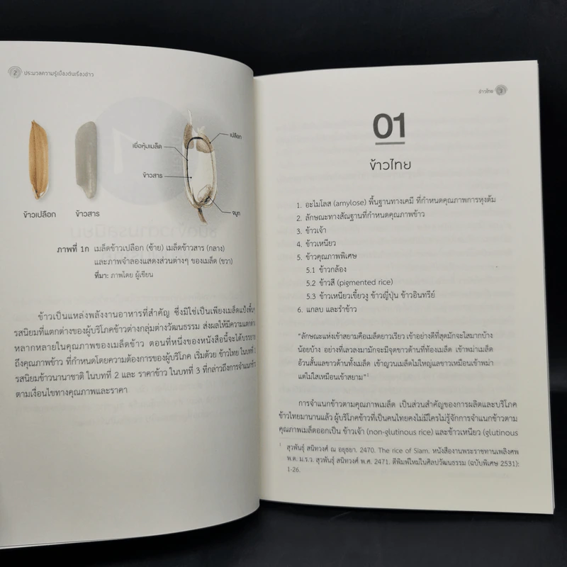ประมวลความรู้เบื้องต้นเรื่องข้าว - เบญจวรรณ ฤกษ์เกษม รูปที่ 12