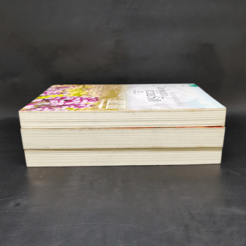 นิยายชุด ต้นรักเสน่หา 3 เล่ม เก็บรักไว้ที่ปลายฟ้า, โอบพสุธาด้วยรัก, ปลูกรักใต้เงาใจ รูปที่ 4