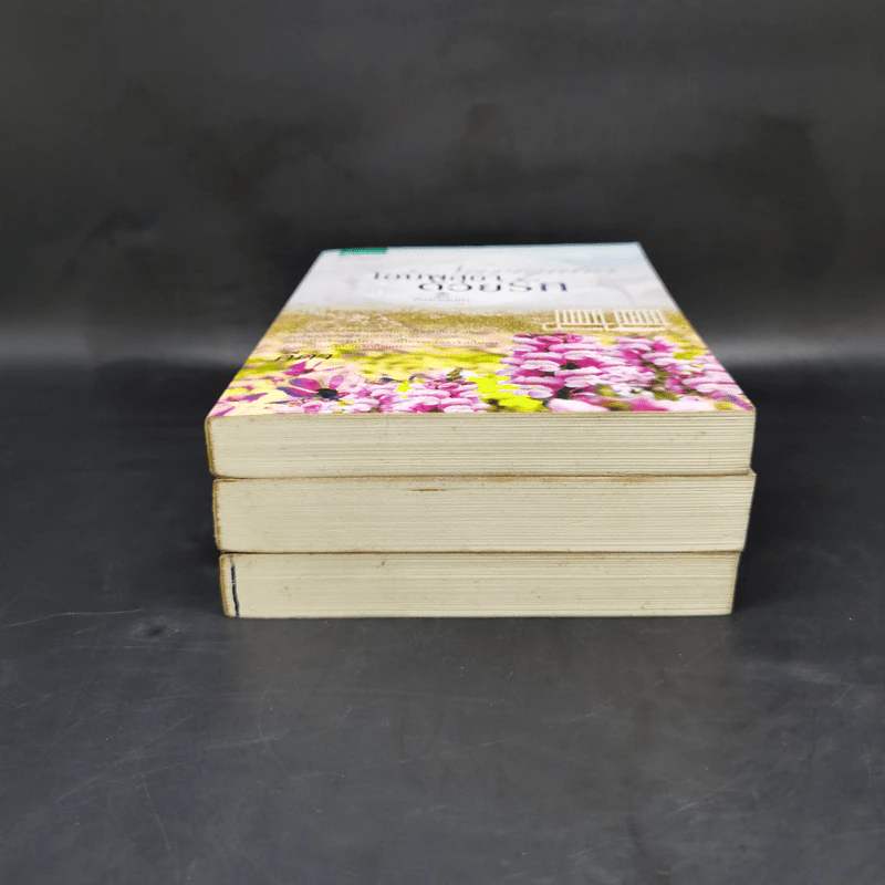 นิยายชุด ต้นรักเสน่หา 3 เล่ม เก็บรักไว้ที่ปลายฟ้า, โอบพสุธาด้วยรัก, ปลูกรักใต้เงาใจ รูปที่ 3