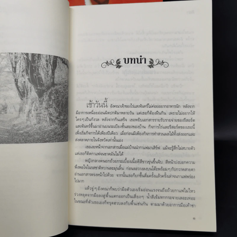 นิยายชุด ต้นรักเสน่หา 3 เล่ม เก็บรักไว้ที่ปลายฟ้า, โอบพสุธาด้วยรัก, ปลูกรักใต้เงาใจ รูปที่ 17