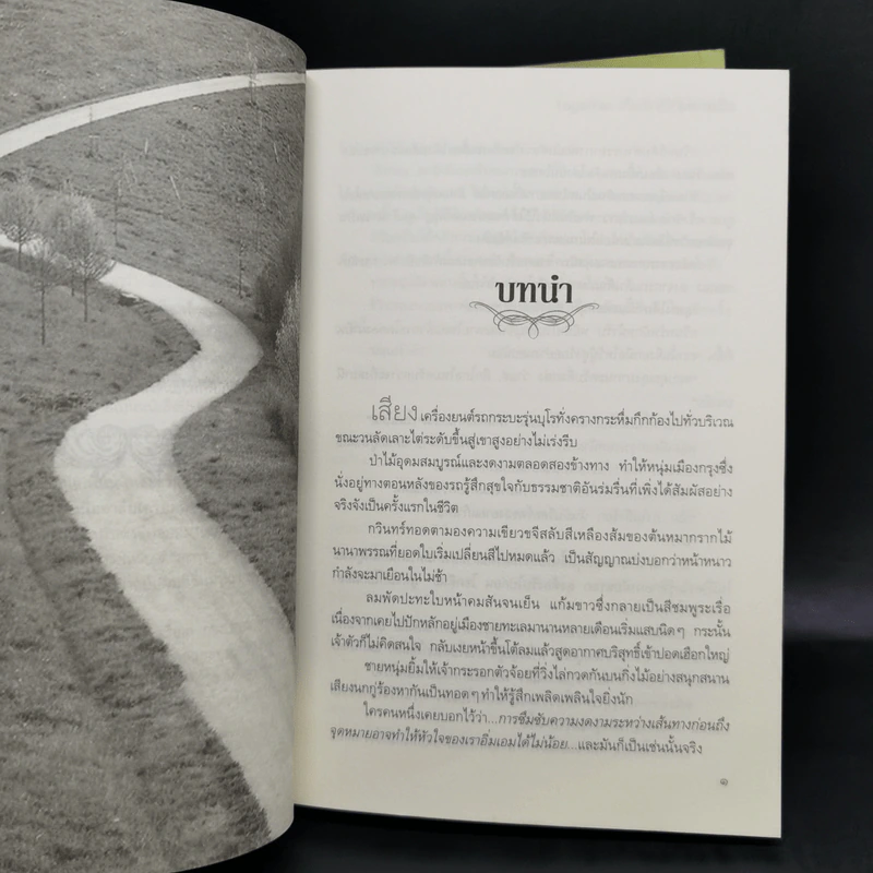 นิยายชุด ต้นรักเสน่หา 3 เล่ม เก็บรักไว้ที่ปลายฟ้า, โอบพสุธาด้วยรัก, ปลูกรักใต้เงาใจ รูปที่ 13