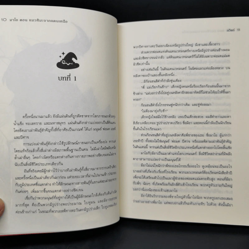 มาโอ ตอน แมวหิมะจากแดนเหนือ - ลวิตร์ รูปที่ 9