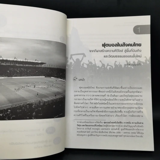 ฟุตบอลไทยพรีเมียร์ลีก - วสันต์ ปัญญาแก้ว รูปที่ 11