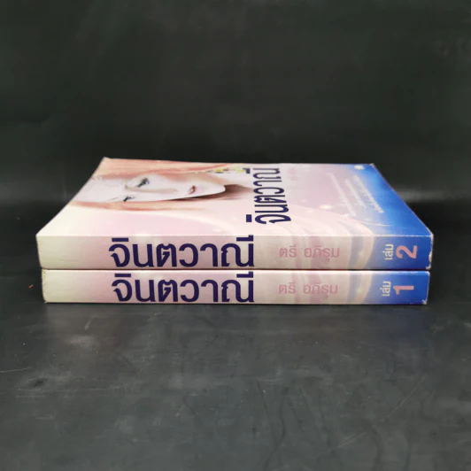 จินตวาณี 2 เล่มจบ - ตรี อภิรุม รูปที่ 3