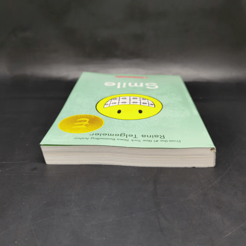 Smile - Raina Telgemeier รูปที่ 6
