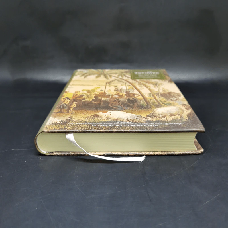 ชนชาติไทย (ปกแข็ง) - William Clifton Dodd (วิลเลียม คลิฟตัน ด็อดด์) รูปที่ 4