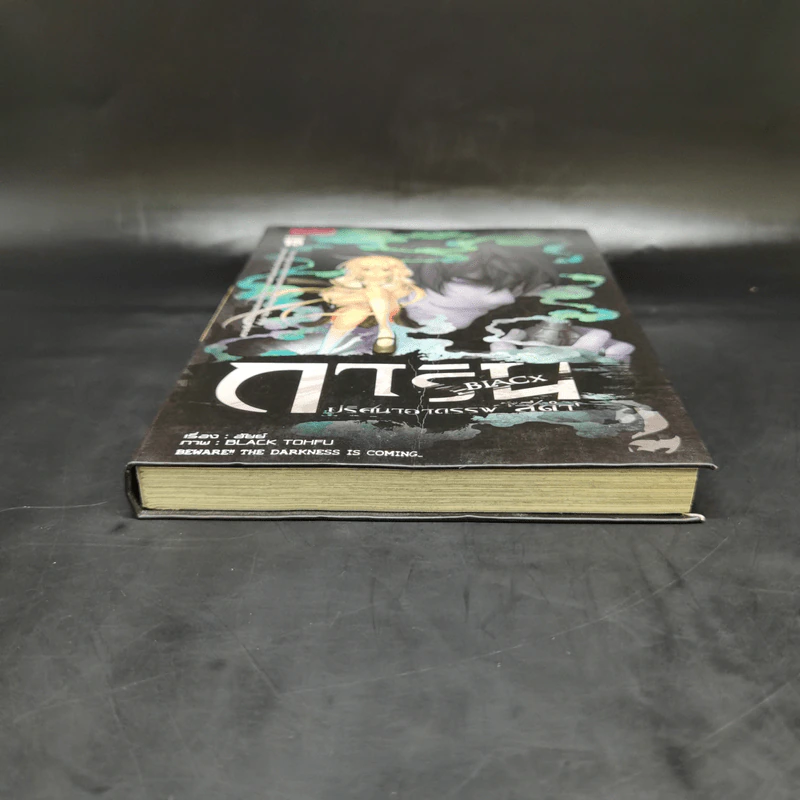 การิน Black ปริศนาอาถรรพ์สีดำ เล่ม 2 รูปที่ 4